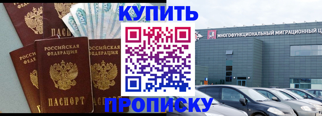 прописка штамп в Новгородской области